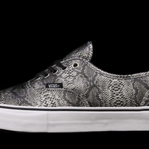 ANTHONY VAN ENGELEN & JASON DILL x VANS SYNDICATE