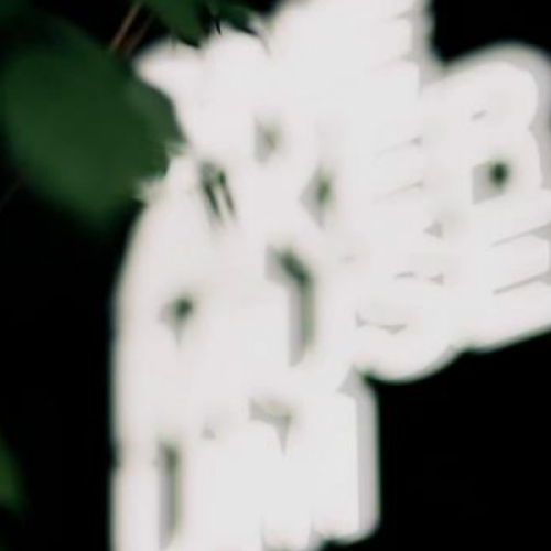 A Retrospective of Stussy Shoe Collaborations Video Recap